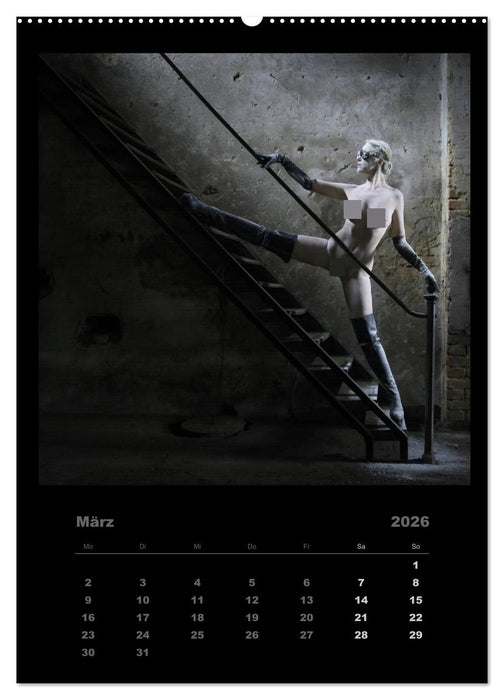 Akt im Sternenstaub EvE fotografiert von Rainer Matthias Gillessen (CALVENDO Wandkalender 2026)
