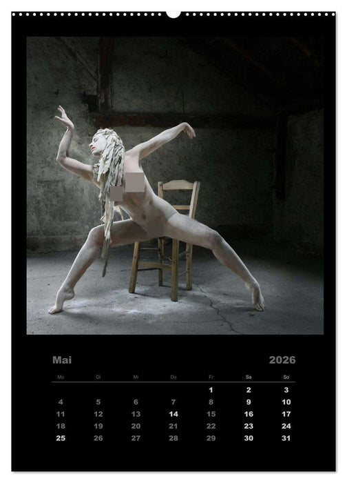 Akt im Sternenstaub EvE fotografiert von Rainer Matthias Gillessen (CALVENDO Wandkalender 2026)