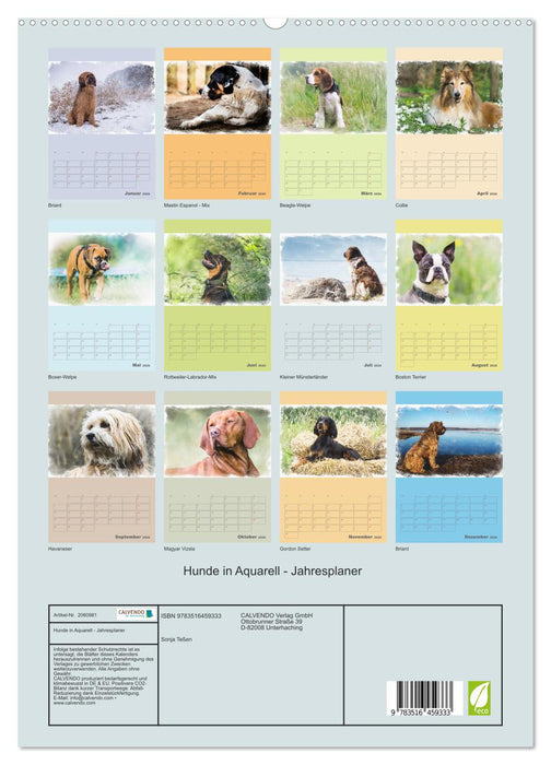 Hunde in Aquarell - Jahresplaner (CALVENDO Premium Wandkalender 2026)