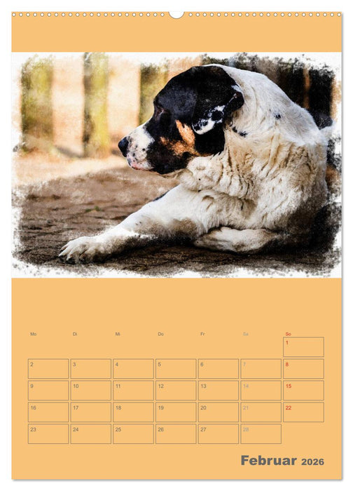Hunde in Aquarell - Jahresplaner (CALVENDO Premium Wandkalender 2026)
