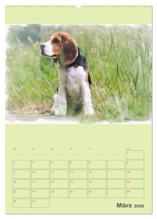 Hunde in Aquarell - Jahresplaner (CALVENDO Premium Wandkalender 2026)
