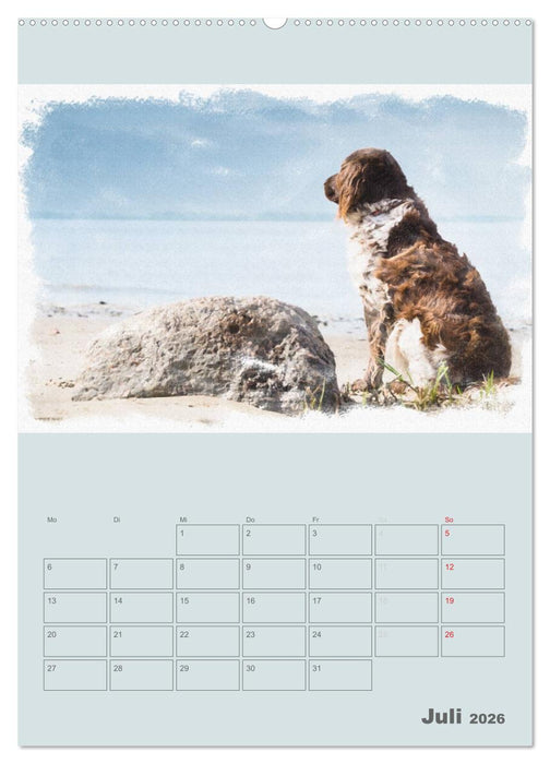 Hunde in Aquarell - Jahresplaner (CALVENDO Premium Wandkalender 2026)