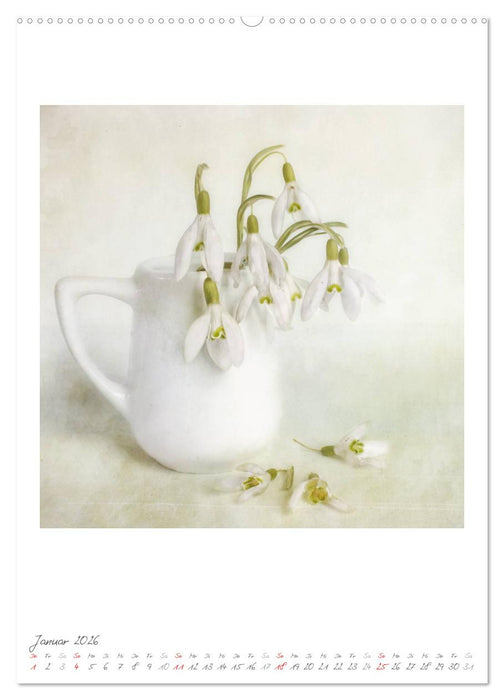 Blütenfantasie (CALVENDO Wandkalender 2026)