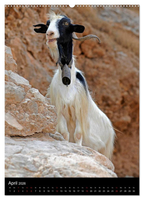 Kreta Impressionen (CALVENDO Premium Wandkalender 2026)