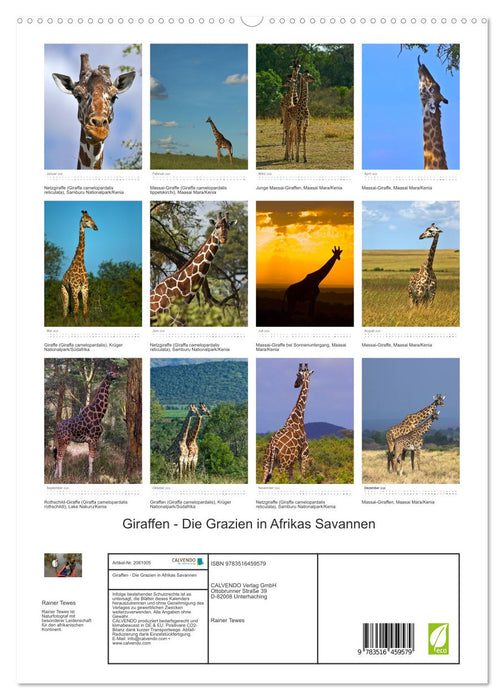 Giraffen - Die Grazien in Afrikas Savannen (CALVENDO Premium Wandkalender 2026)