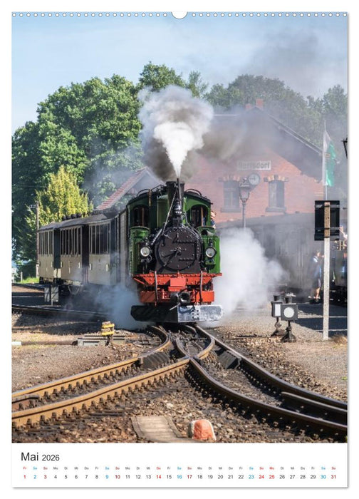 Dampfzeiten (CALVENDO Premium Wandkalender 2026)