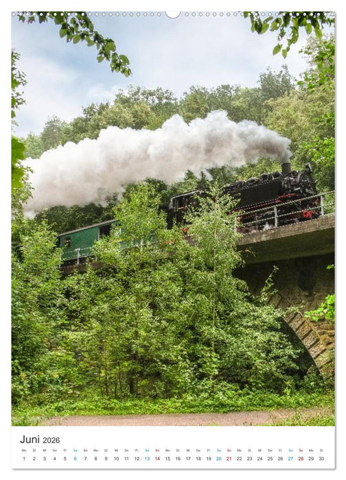 Dampfzeiten (CALVENDO Premium Wandkalender 2026)