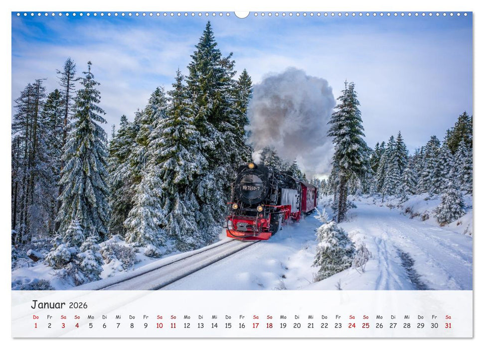 Wernigerode - Historische Fachwerkstadt am Harz (CALVENDO Premium Wandkalender 2026)