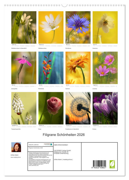 Filigrane Schönheiten 2026 (CALVENDO Premium Wandkalender 2026)