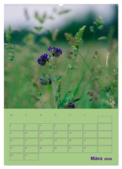 Wald- und Wiesenkalender 2026 Planer (CALVENDO Wandkalender 2026)