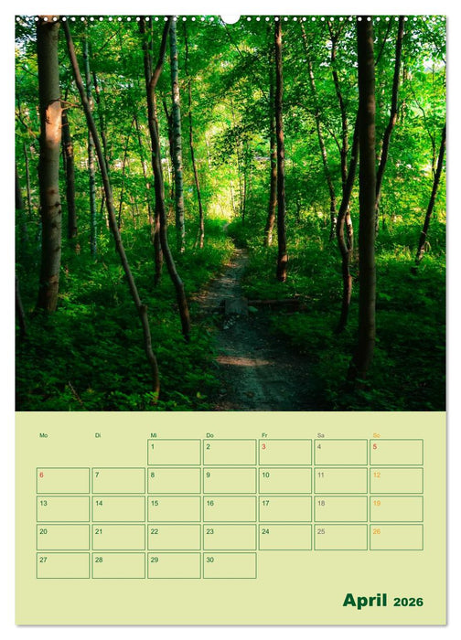 Wald- und Wiesenkalender 2026 Planer (CALVENDO Wandkalender 2026)