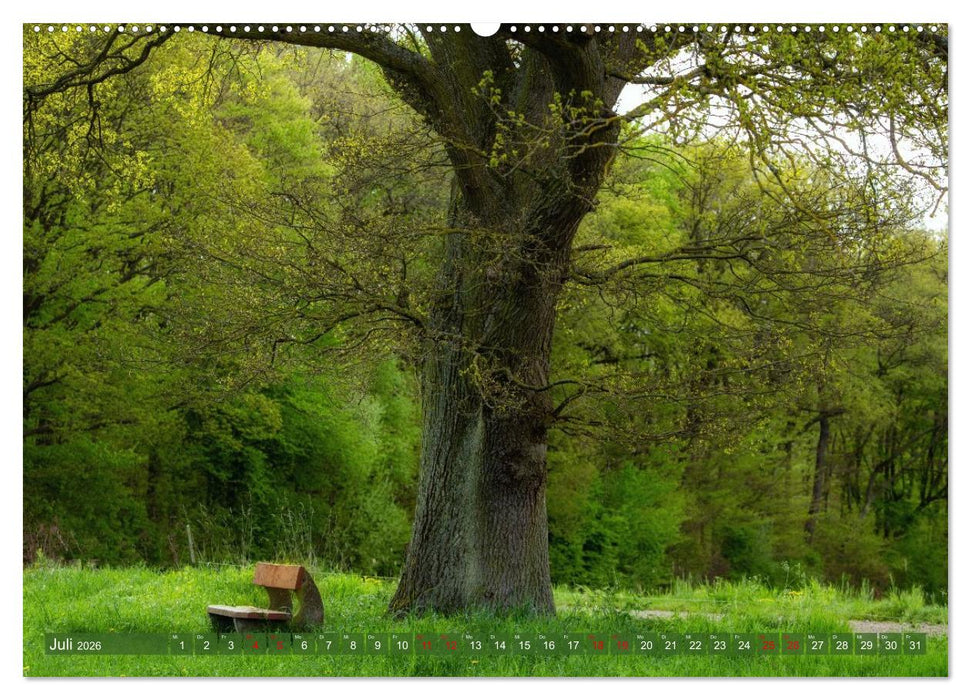 Schöne Aussichten Bänke zum Verweilen (CALVENDO Premium Wandkalender 2026)