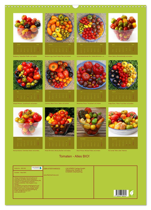 Tomaten - Alles BIO! (CALVENDO Wandkalender 2026)