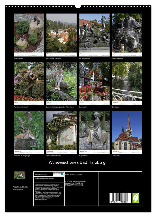 Wunderschönes Bad Harzburg (CALVENDO Premium Wandkalender 2026)