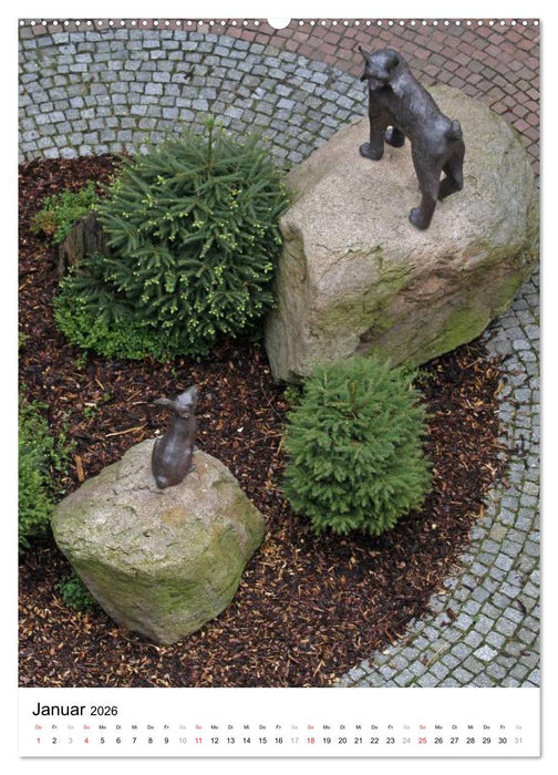 Wunderschönes Bad Harzburg (CALVENDO Premium Wandkalender 2026)