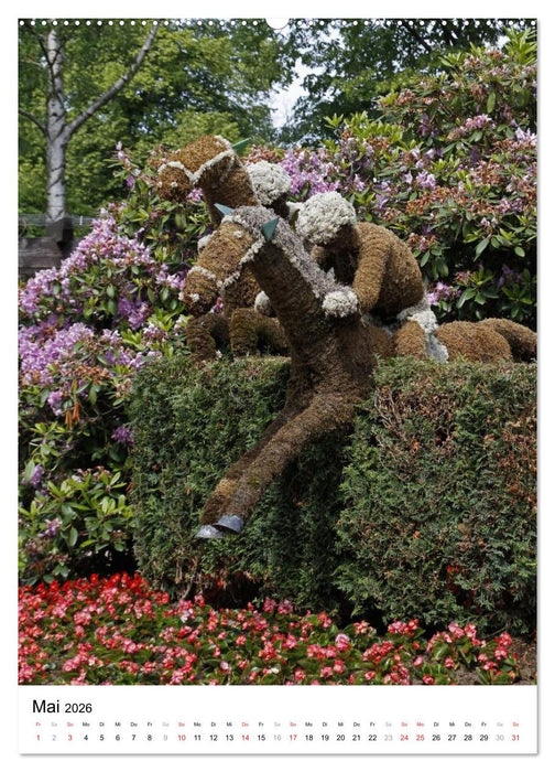 Wunderschönes Bad Harzburg (CALVENDO Premium Wandkalender 2026)