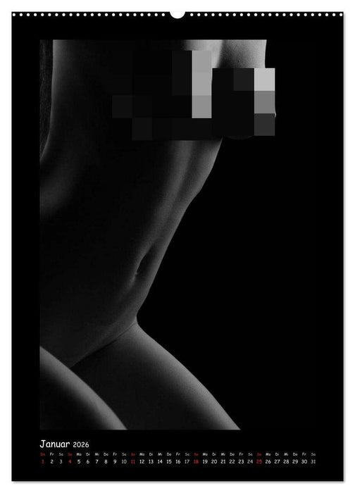 Anonymer Akt (CALVENDO Wandkalender 2026)