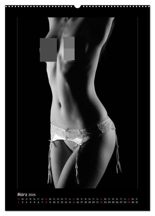 Anonymer Akt (CALVENDO Wandkalender 2026)