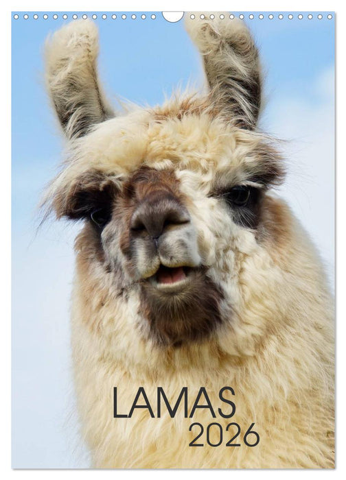 LAMAS (CALVENDO Wandkalender 2026)