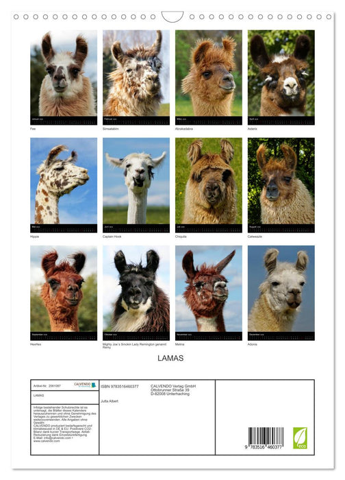 LAMAS (CALVENDO Wandkalender 2026)