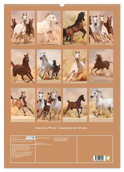 Arabische Pferde • Geschöpfe des Windes (CALVENDO Wandkalender 2026)