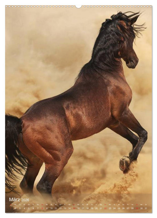 Arabische Pferde • Geschöpfe des Windes (CALVENDO Wandkalender 2026)