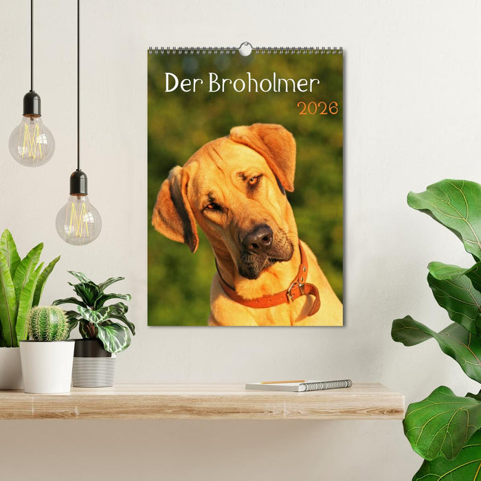 Der Broholmer (CALVENDO Wandkalender 2026)