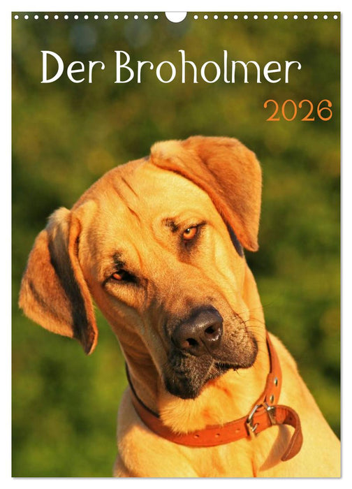 Der Broholmer (CALVENDO Wandkalender 2026)