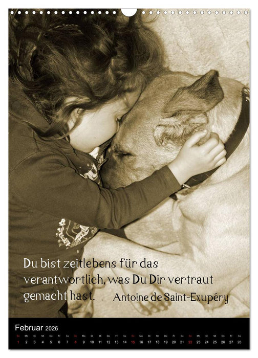 Der Broholmer (CALVENDO Wandkalender 2026)