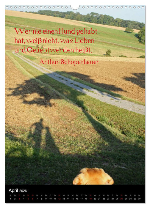 Der Broholmer (CALVENDO Wandkalender 2026)