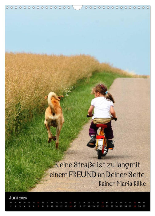 Der Broholmer (CALVENDO Wandkalender 2026)