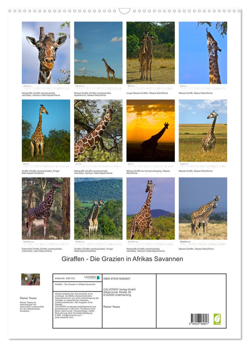 Giraffen - Die Grazien in Afrikas Savannen (CALVENDO Wandkalender 2026)