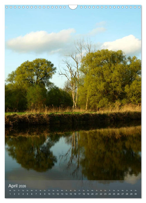 Fest verwurzelt - Faszinierende Bäume im Wandel der Jahreszeit (CALVENDO Wandkalender 2026)
