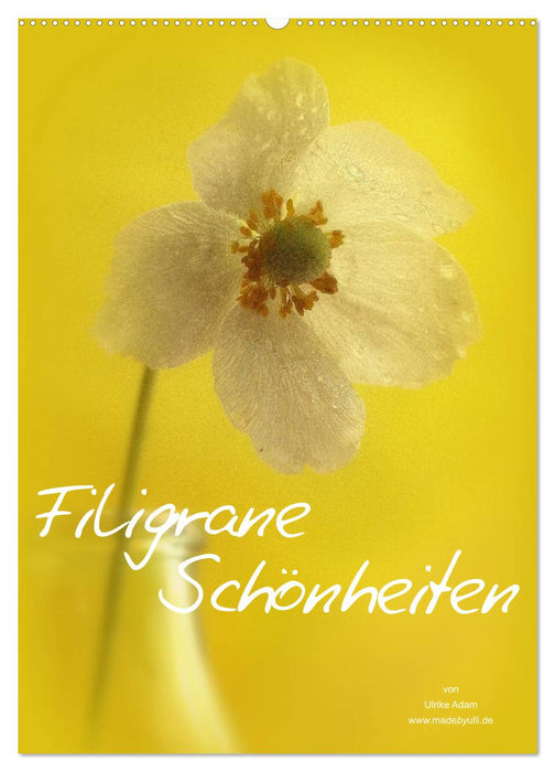 Filigrane Schönheiten 2026 (CALVENDO Wandkalender 2026)