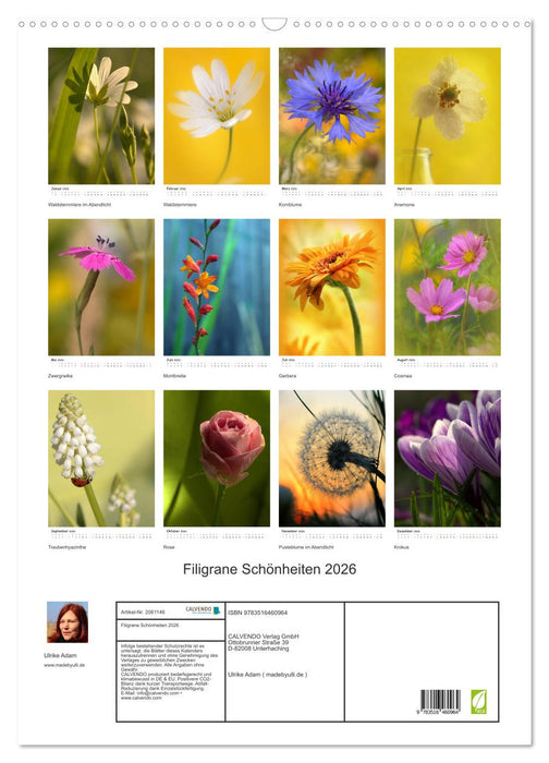 Filigrane Schönheiten 2026 (CALVENDO Wandkalender 2026)