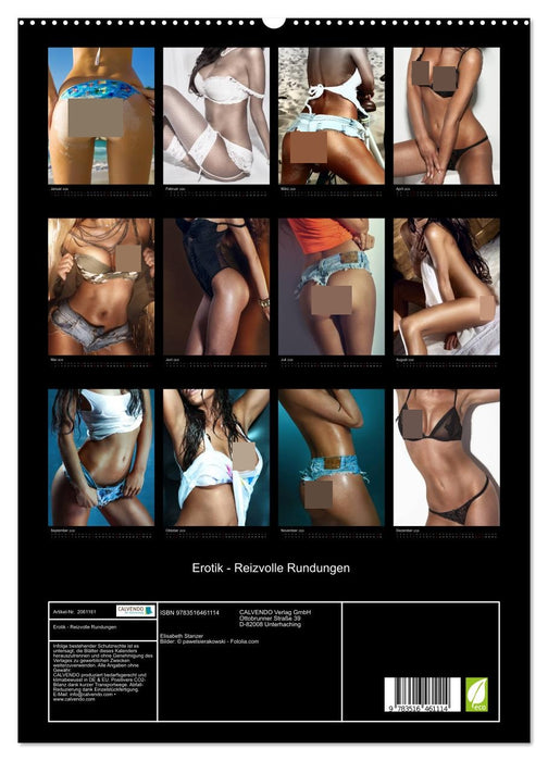 Erotik - Reizvolle Rundungen (CALVENDO Premium Wandkalender 2026)