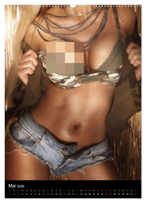 Erotik - Reizvolle Rundungen (CALVENDO Premium Wandkalender 2026)
