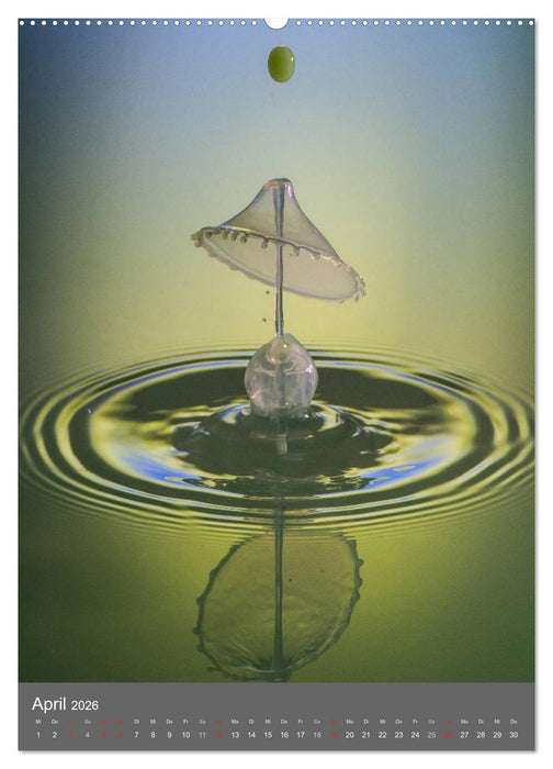 Liquid Art, Highspeed Tropfenfotografie (CALVENDO Wandkalender 2026)