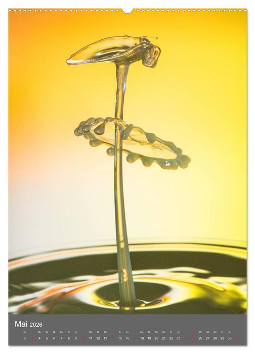 Liquid Art, Highspeed Tropfenfotografie (CALVENDO Wandkalender 2026)