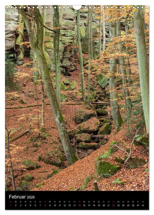 Kleine Luxemburger Schweiz (CALVENDO Wandkalender 2026)