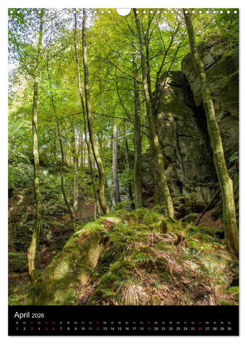 Kleine Luxemburger Schweiz (CALVENDO Wandkalender 2026)