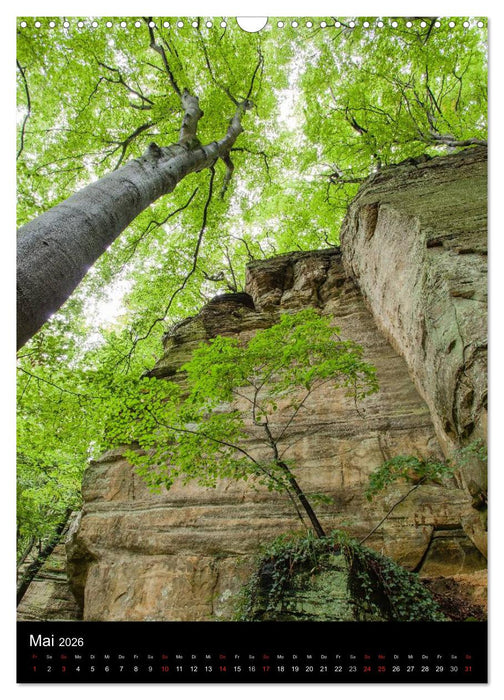 Kleine Luxemburger Schweiz (CALVENDO Wandkalender 2026)