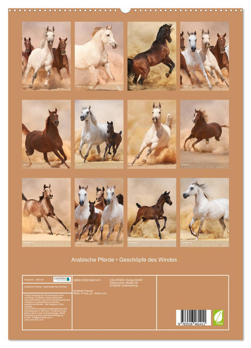 Arabische Pferde • Geschöpfe des Windes (CALVENDO Premium Wandkalender 2026)