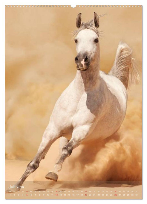 Arabische Pferde • Geschöpfe des Windes (CALVENDO Premium Wandkalender 2026)
