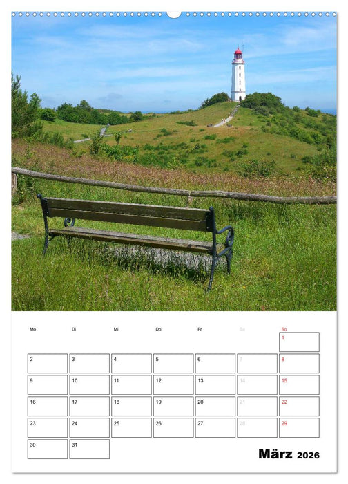 Rügen und Hiddensee - Bilder eines Sommers / Planer (CALVENDO Premium Wandkalender 2026)
