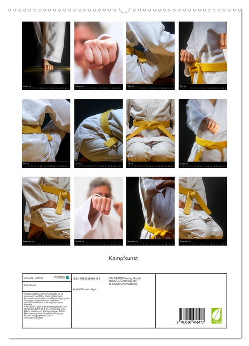 Kampfkunst (CALVENDO Premium Wandkalender 2026)