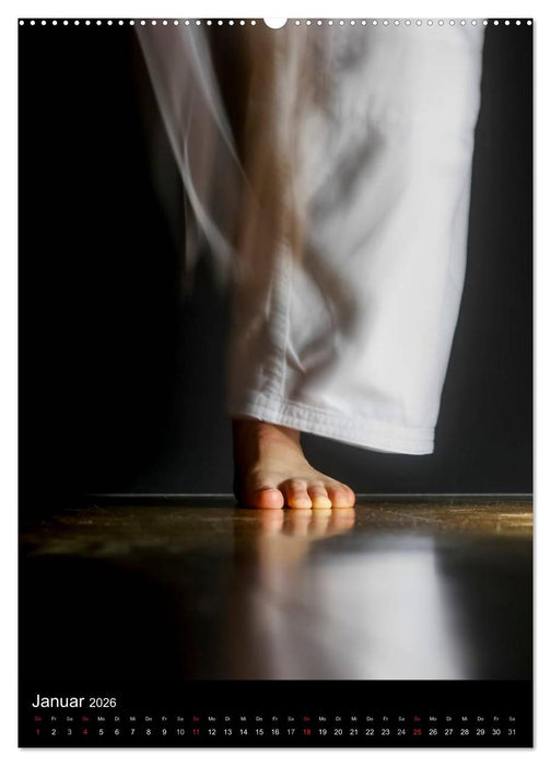 Kampfkunst (CALVENDO Premium Wandkalender 2026)