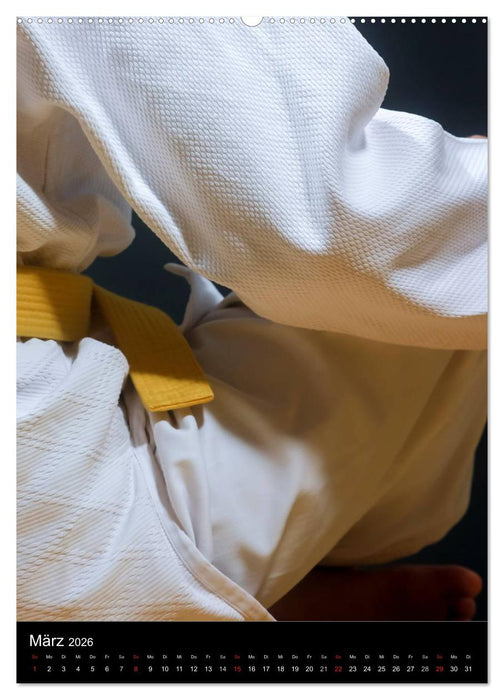 Kampfkunst (CALVENDO Premium Wandkalender 2026)