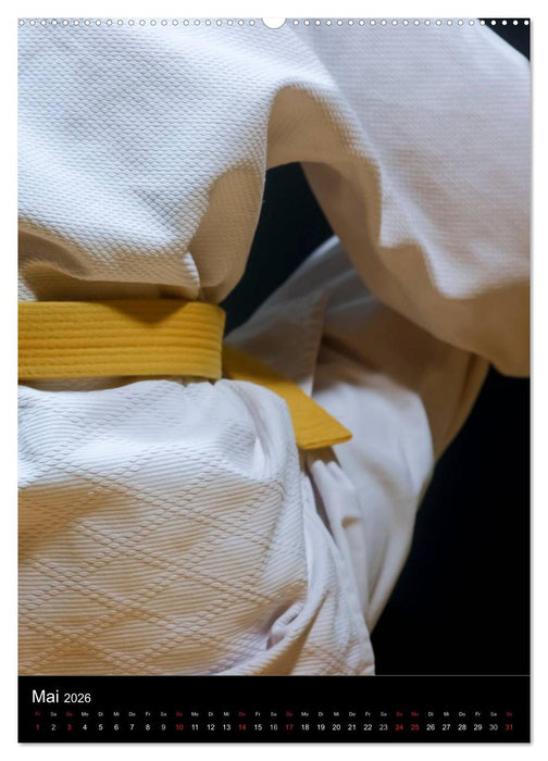 Kampfkunst (CALVENDO Premium Wandkalender 2026)