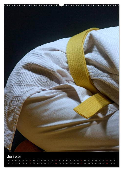 Kampfkunst (CALVENDO Premium Wandkalender 2026)